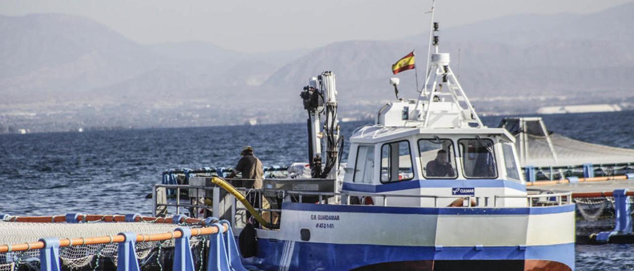 El negocio del mar sigue creciendo