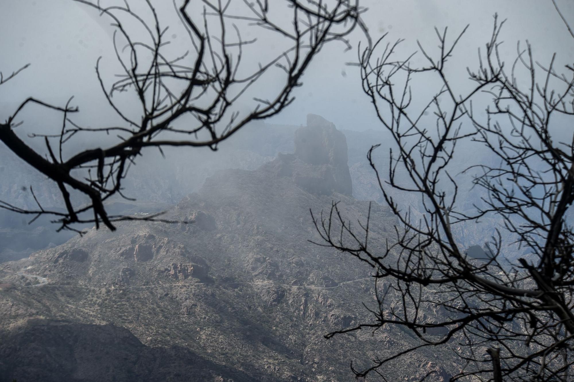 En busca del rastro verde del ‘Hermine’