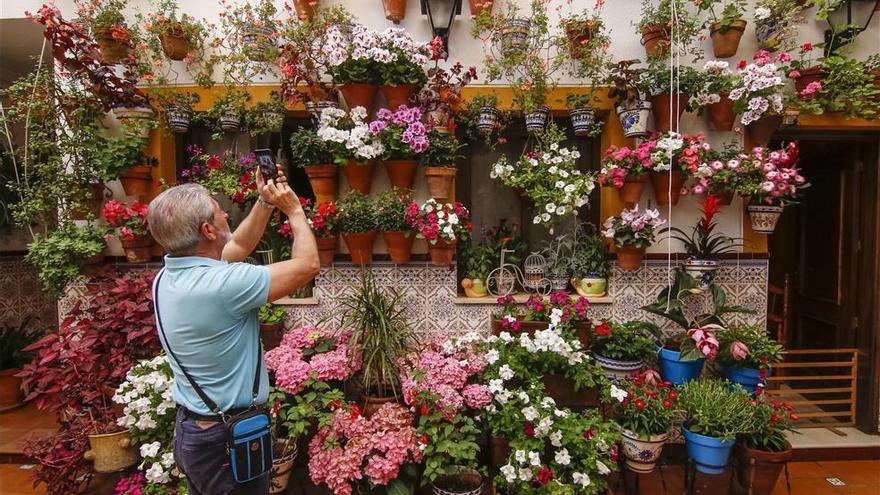 El Ayuntamiento aumentará el accésit de los patios en esta edición