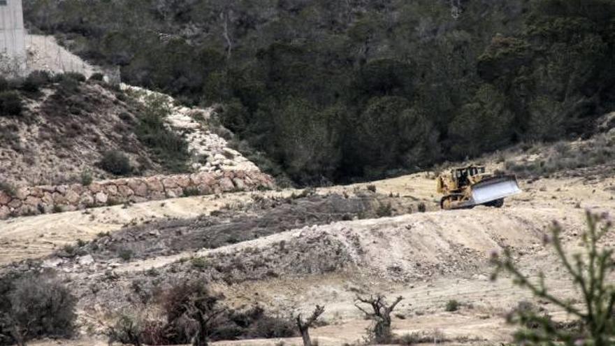 San Miguel de Salinas paraliza más roturaciones en terrenos protegidos del paraje de Lo Zafra