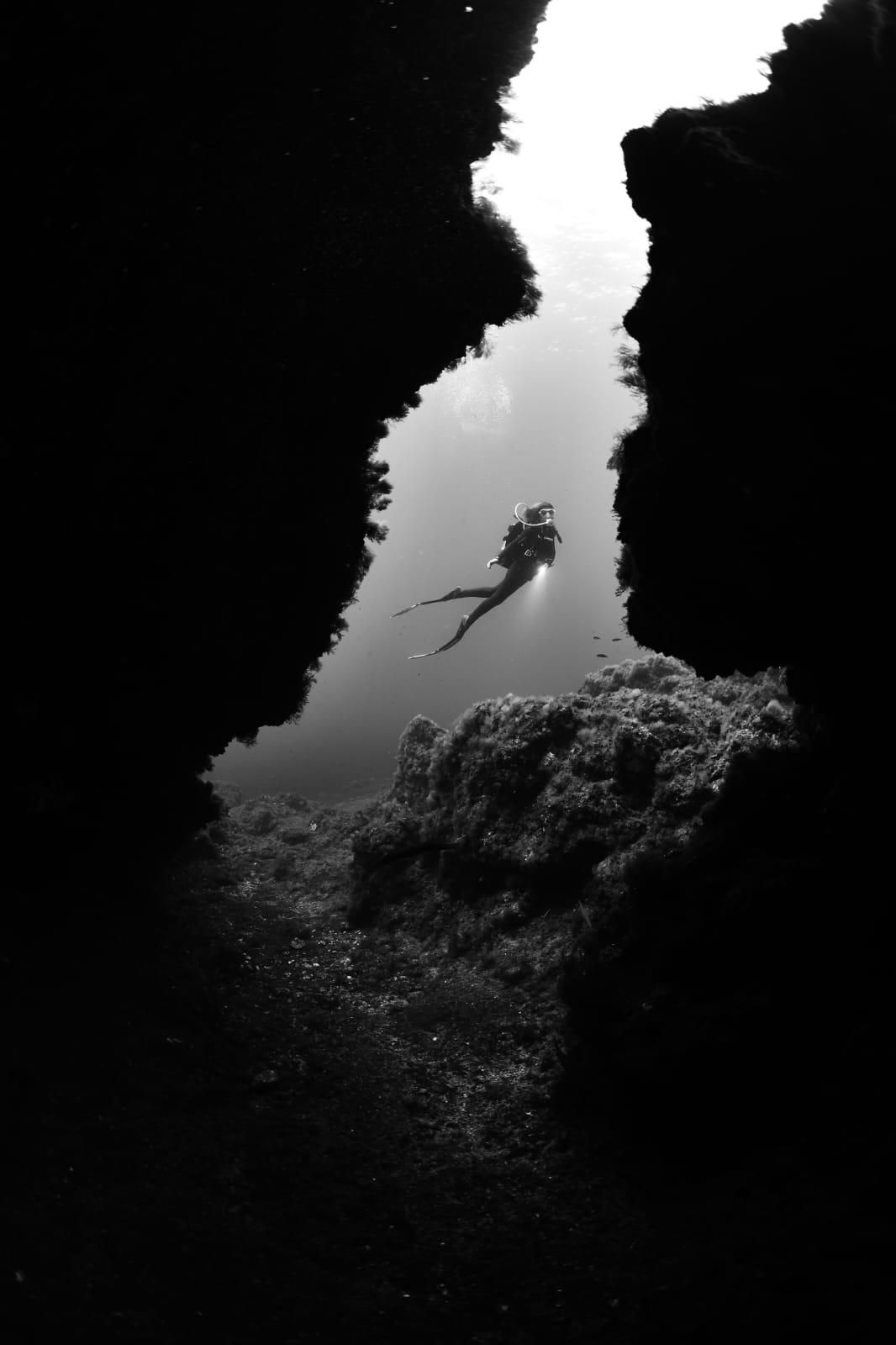 Imágenes del Campeonato de Foto Submarina de El Hierro