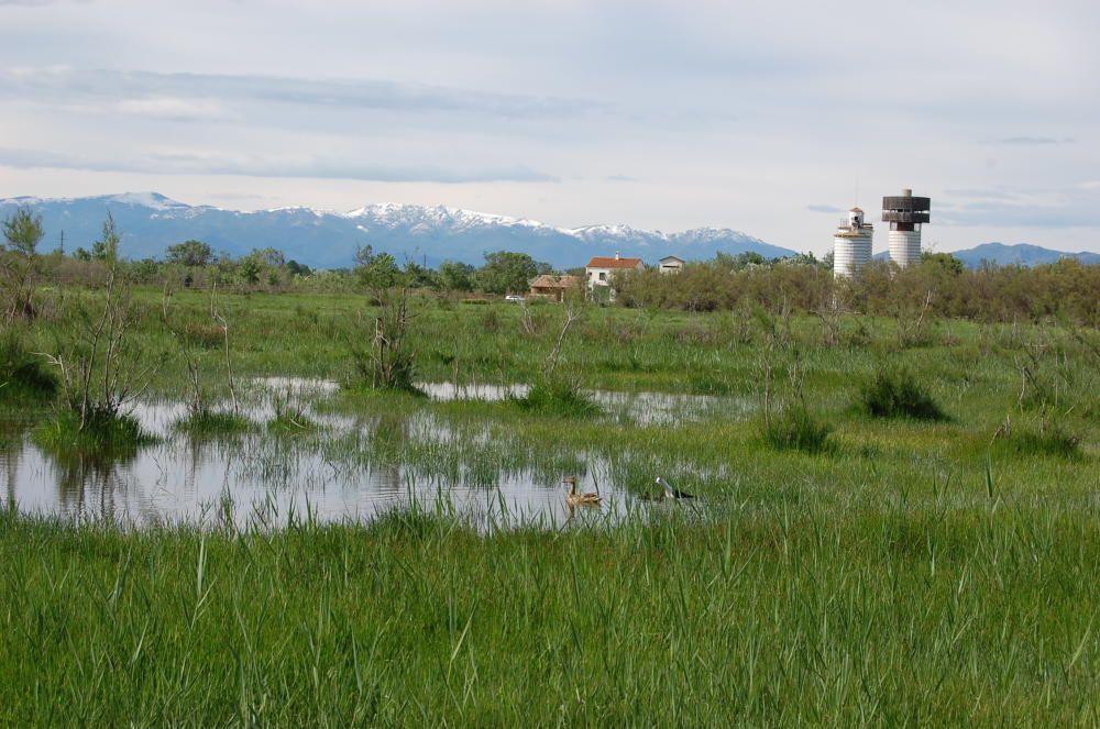 Entre la Muga i el Fluvià, territorri per visitar