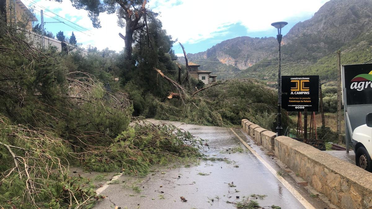 Los estragos de 'Hortense' en Mallorca