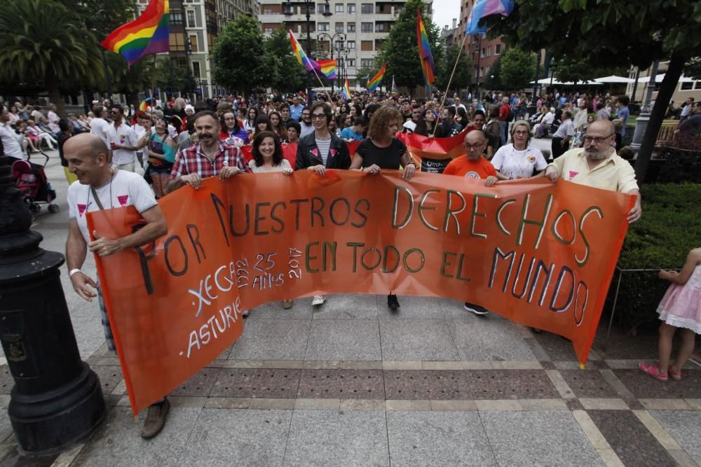 Manifestación del Orgullín del Norte.