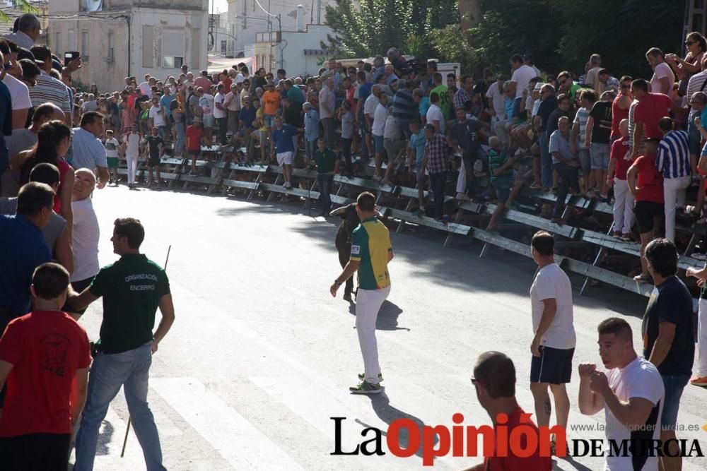 Primer encierro de Calasparra