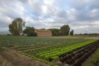 Miles de fincas rústicas del área de Barcelona tendrán que pagar el Tributo Metropolitano