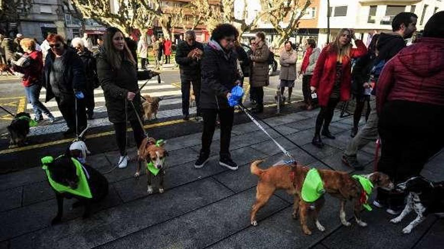 Mascotas del albergue en el día de San Antón. // Iñaki Abella