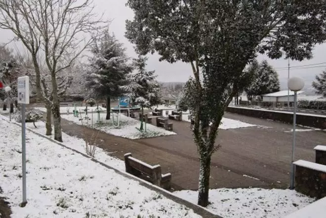 Una estampa sobre blanco en Deza