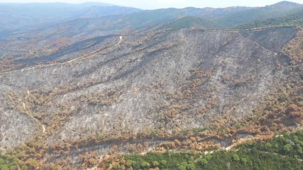 Les Gavarres tras el incendio