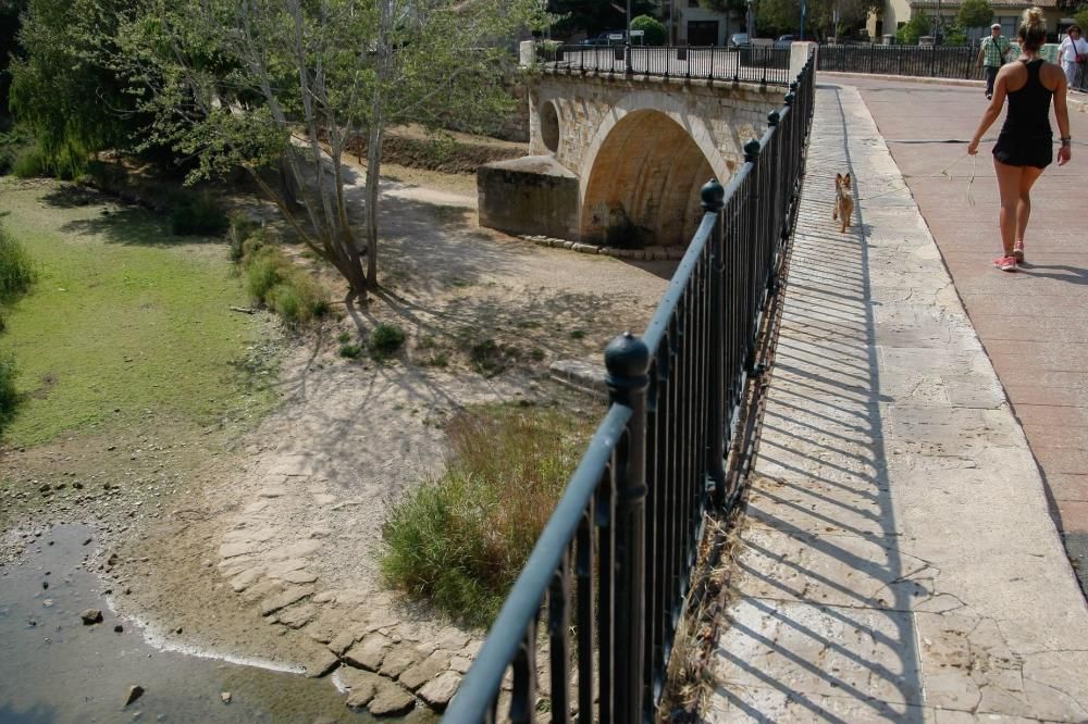 Sequía en Zamora: El Duero, bajo mínimos