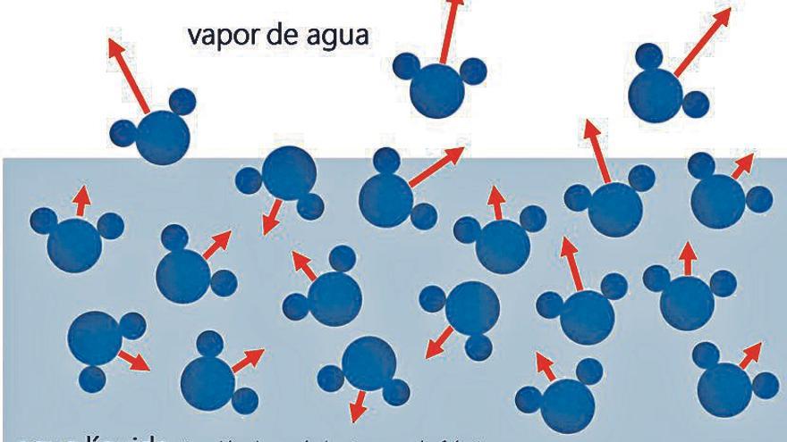 Enfría el agua con una cantimplora 