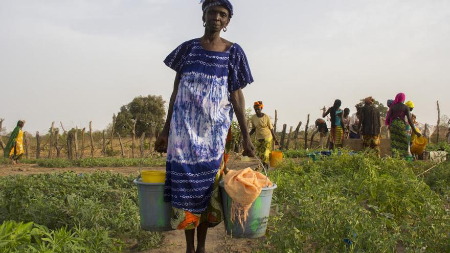 Mujeres rurales de Canarias y África surcarán por la igualdad en Moya