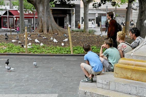 Wegkreuz, Treffpunkt, Schlafgelegenheit, Tanzparkett: Die Plaça d'Espanya ist das Herz Palmas. Ein Tag auf einem Platz im Wandel.