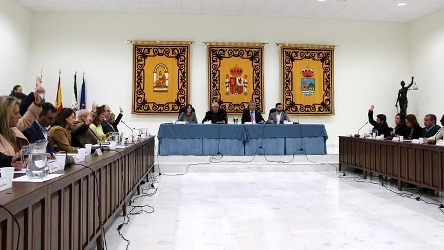 Votación en el pleno del Ayuntamiento de Estepona.