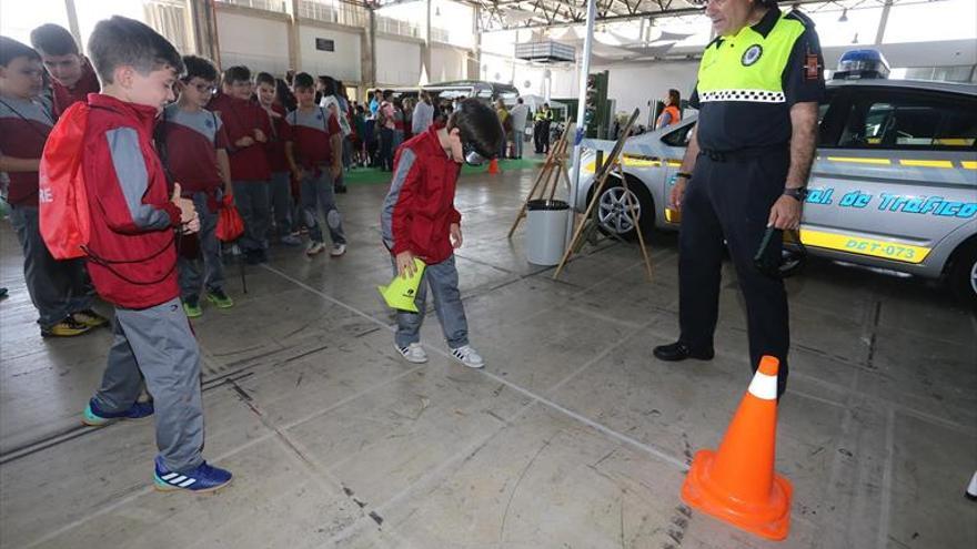 Fragoso propone que la educación vial se imparta en los colegios