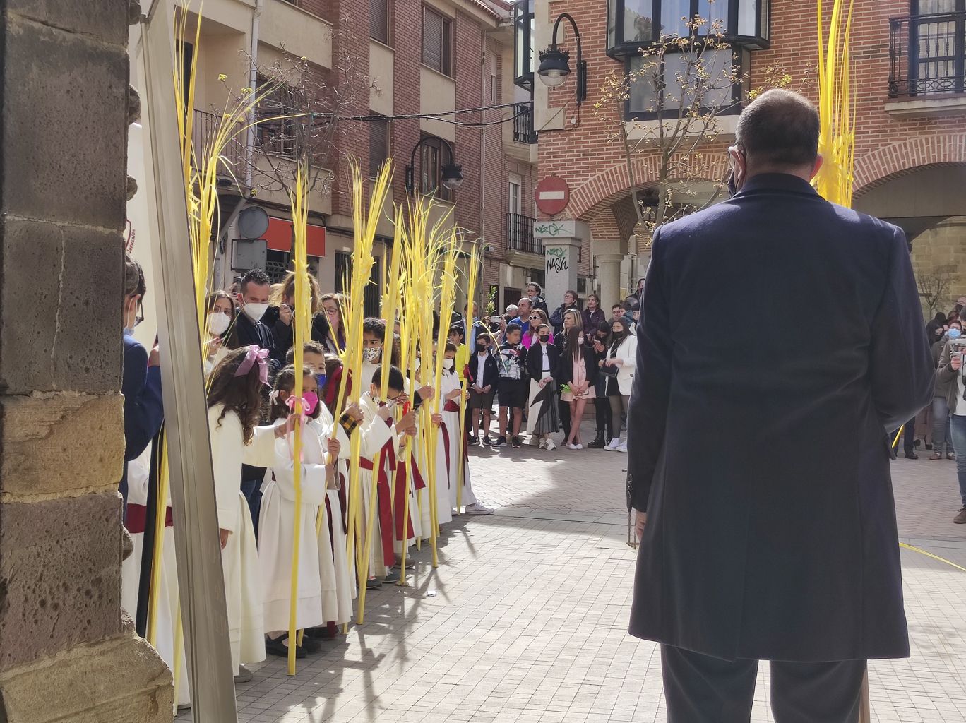 La procesión del Domingo de Ramos en Benavente en imágenes