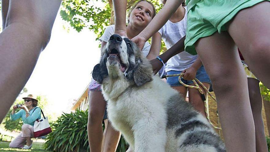 Niños acarician a un perro.