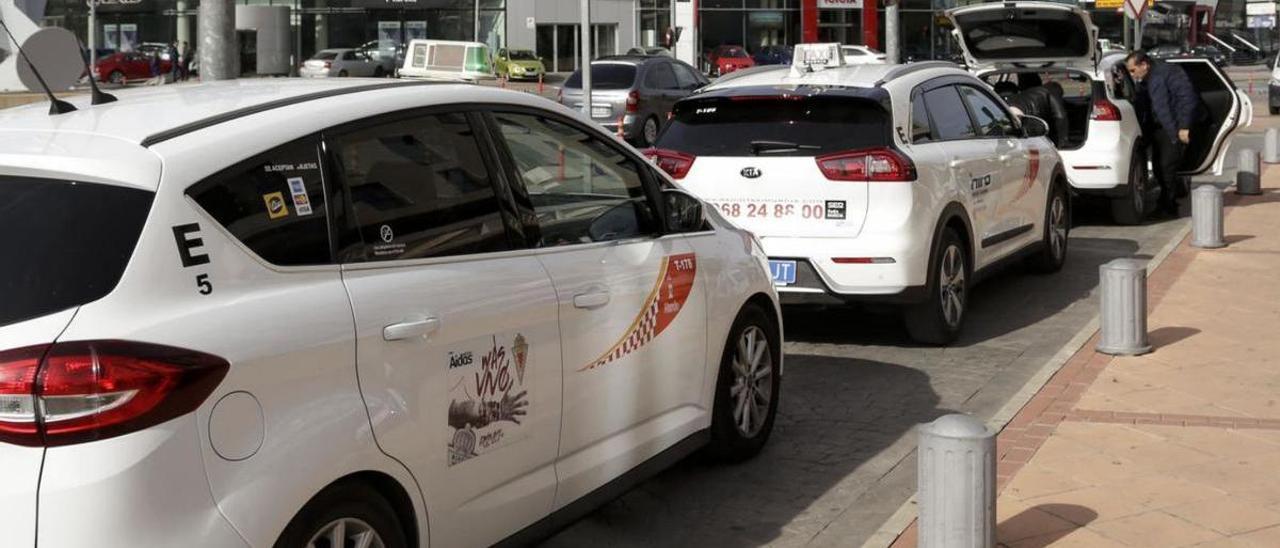 La flota de taxis en Murcia está formada por 260 autónomos. | LA OPINIÓN