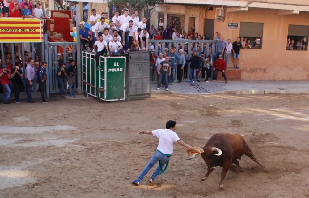 Festes de Sant Pasqual en Vila-real 2016