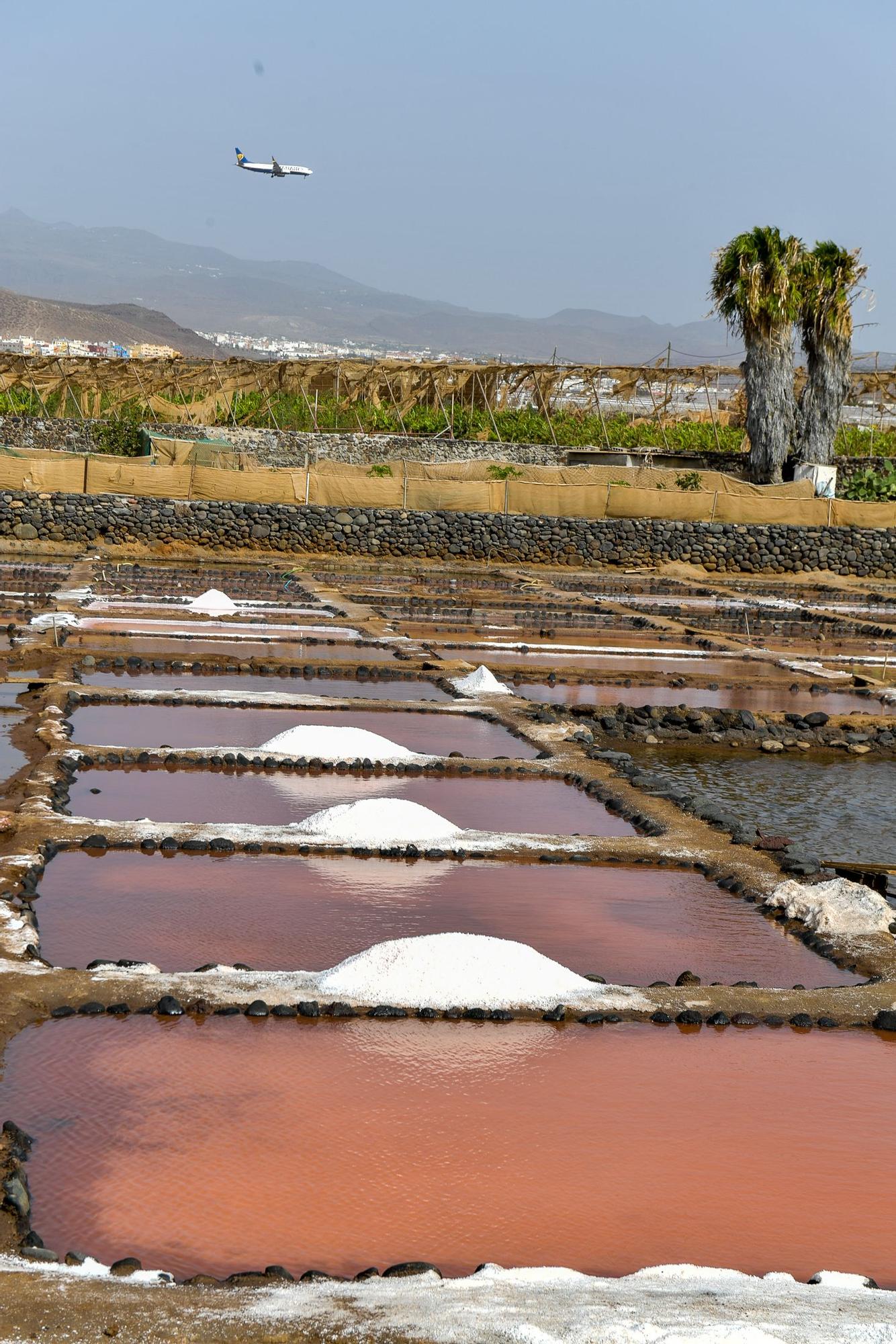 Salinas de Vargas