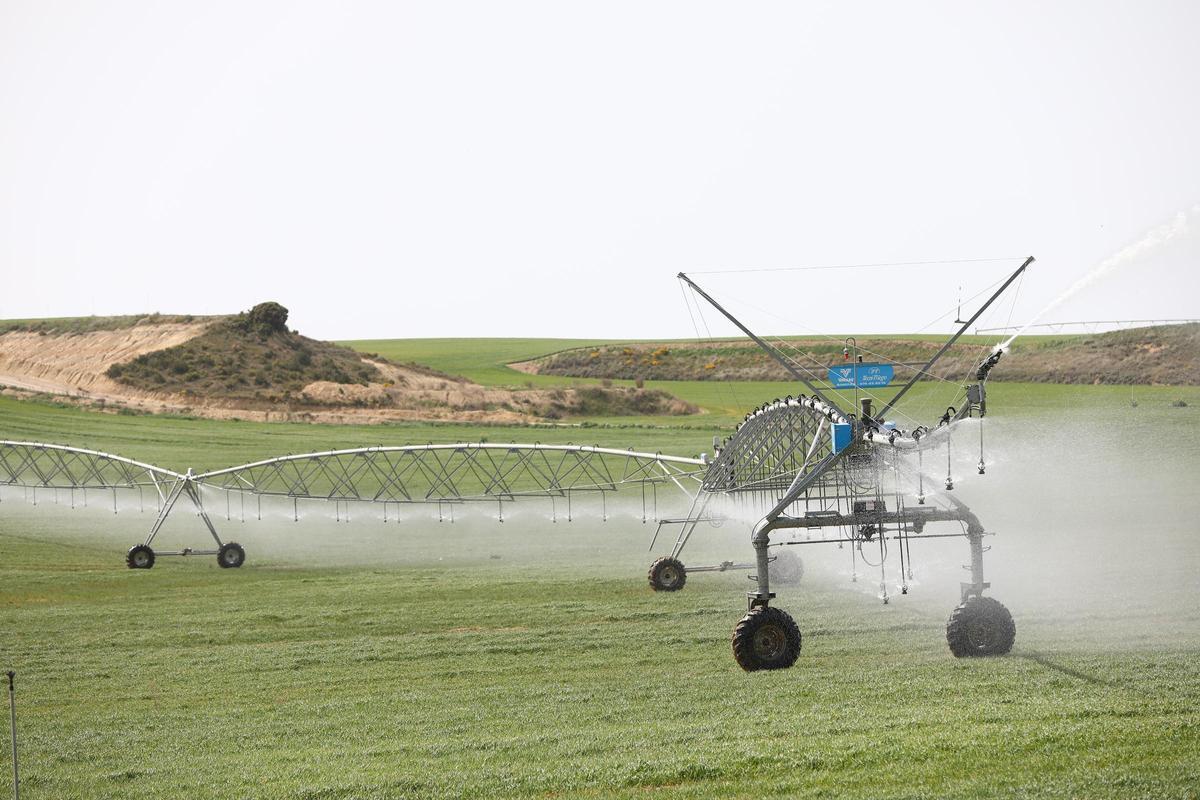 Sistema de riego en funcionamiento una explotación agrícola.