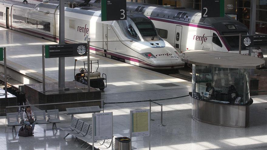 Trenes AVE en la estación María Zambrano de la capital.