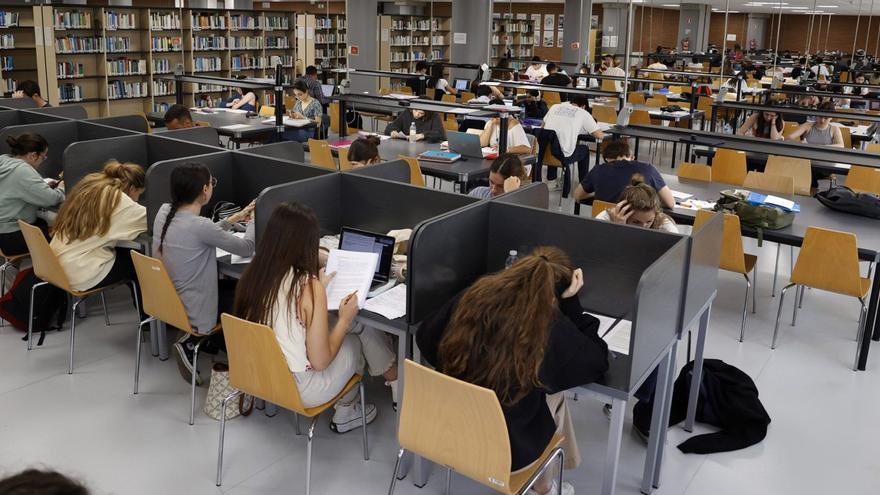 Crece la formación superior pero todavía perduran las brechas laborales y sociales