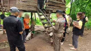 Rescatan en Tailandia a un niño de 8 años criado entre perros que se comunicaba con ladridos