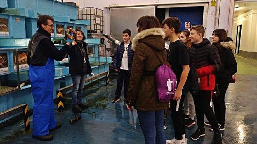 Cent vint alumnes d&#039;ESO de l&#039;institut S&#039;Agulla coneix la indústria del peix a Blanes