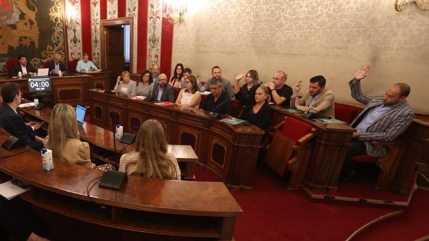 Los concejales de Vox, con la ausencia de Mario Ortolá, se abstienen en un voto clave