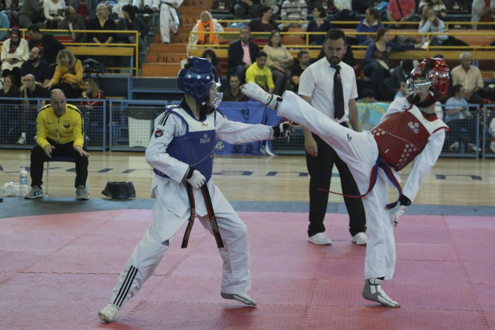 Professional Taekwondo Open