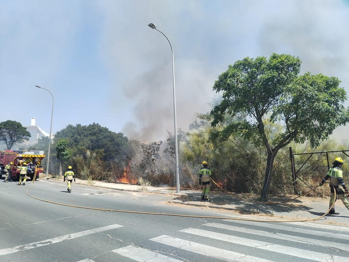 Fotogalería | Incendio de pastos en Plasencia