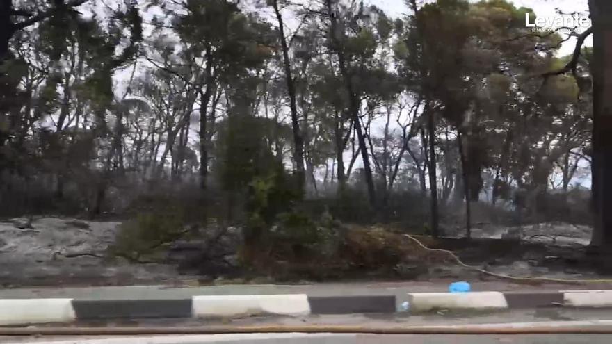 El incendio ya ha calcinado 37 hectáreas de la Devesa del Saler
