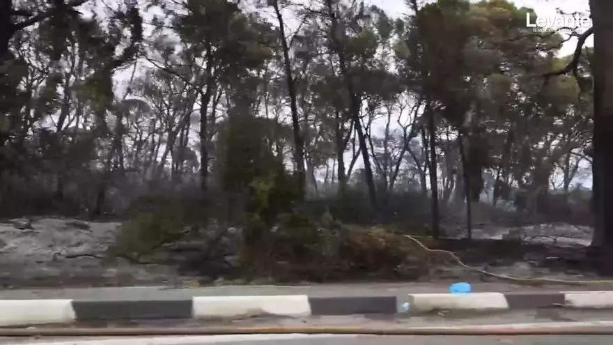 El incendio ya ha calcinado 37 hectáreas de la Devesa del Saler