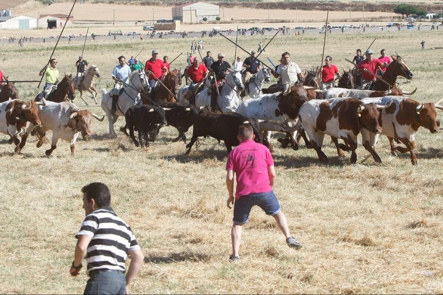 Fiestas en Zamora: Segudos espantes de Fuentesaúco