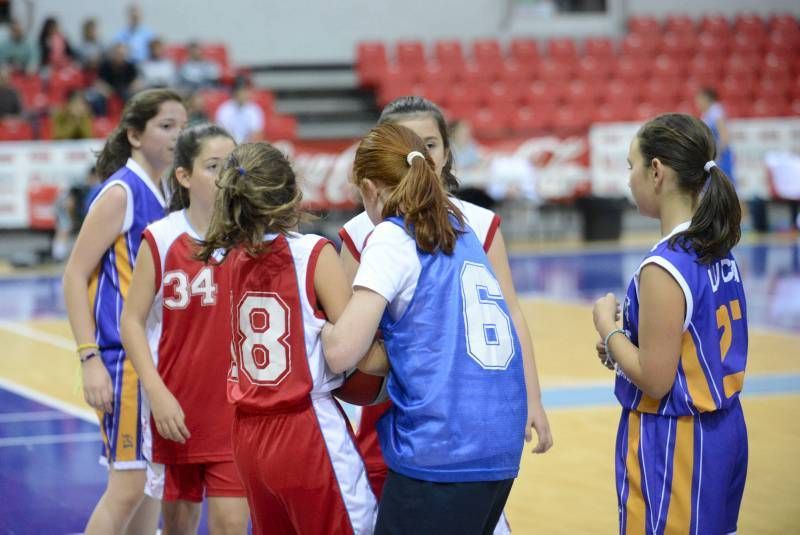 DÍA DEL MINIBASKET. Partidos de las 10:30 horas