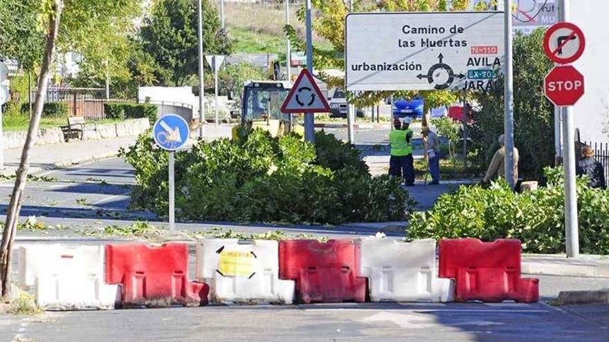 La reforma del vial entre puentes en Plasencia corta el tráfico sin previo aviso