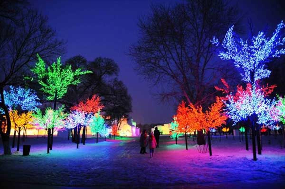 Hasta los árboles se iluminan durante el Festival de Esculturas de Nieve y Hielo de Harbin.