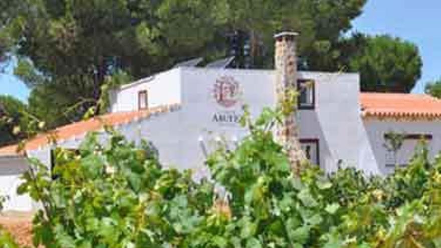 Fachada de las nuevas instalaciones de la bodega, rodeada de viñedos. Foto
