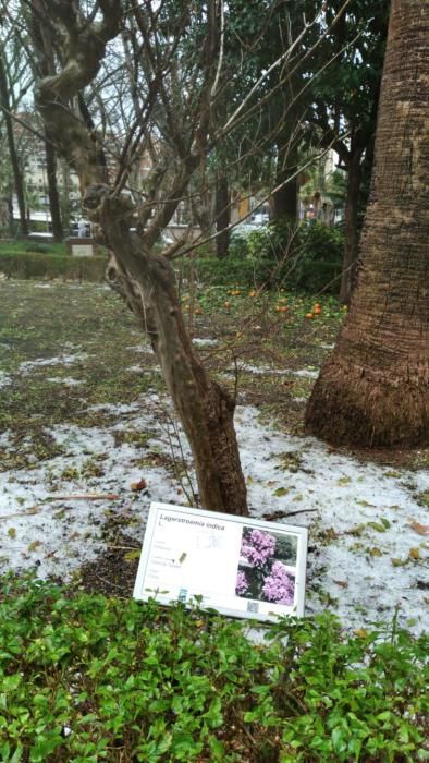 Daños en el Parque de la granizada.