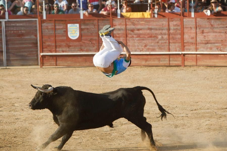 Fiestas en Zamora: Recortes en Villalpando