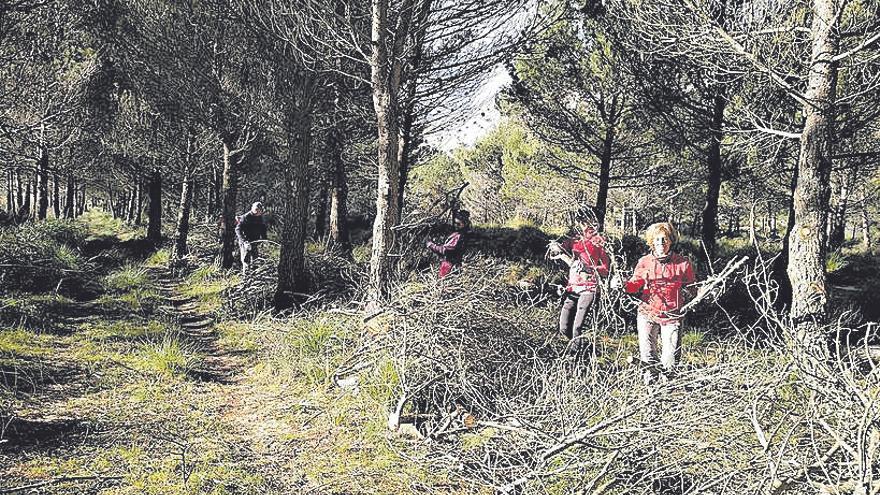 Jornada de voluntariado en la Serra de Tramuntana, en la finca de Son Torrella del Puig Major