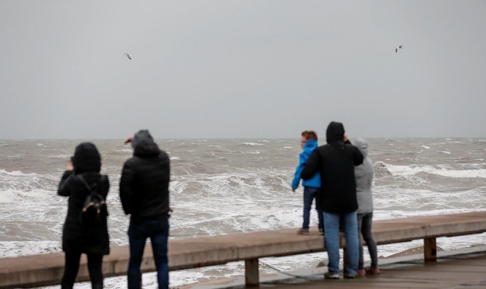 Temporal en el espigón de la Marina del Puerto de Valencia.