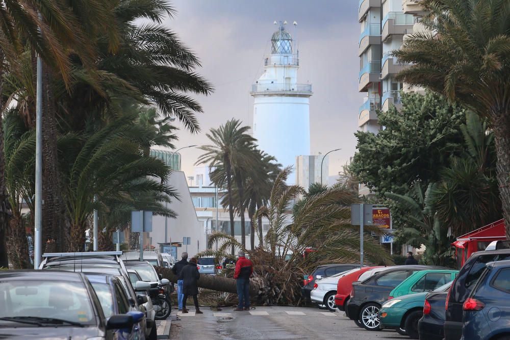 Temporal de viento y lluvia en Málaga