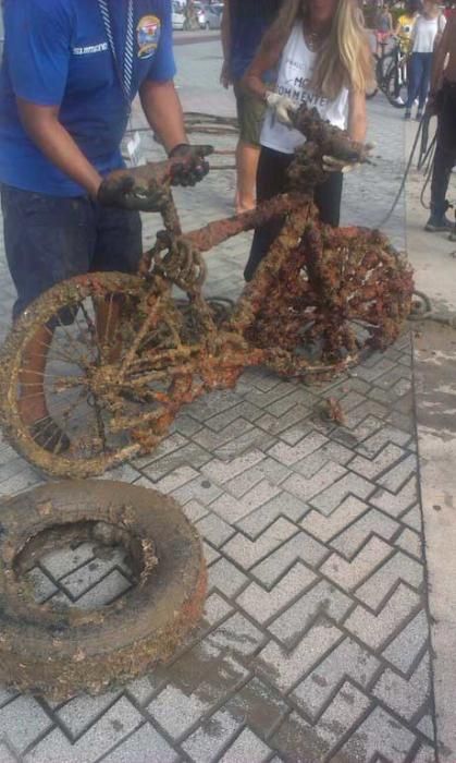 Sacan toneladas de basura de la bahía