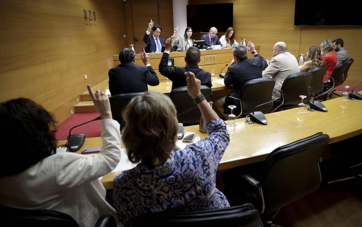 La comisión de investigación de la dana vota durante una de las sesiones celebradas, imagen de archivo.