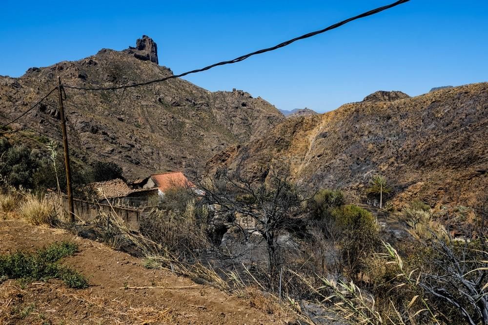 Tejeda tras el incendio