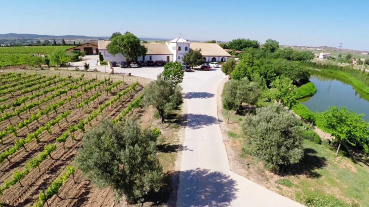 Pago de Tharsys: Vinos únicos por naturaleza