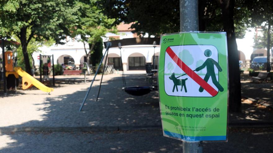 La plaça de l&#039;Assumpció de Girona amb els cartells prohibint que hi entrin gossos