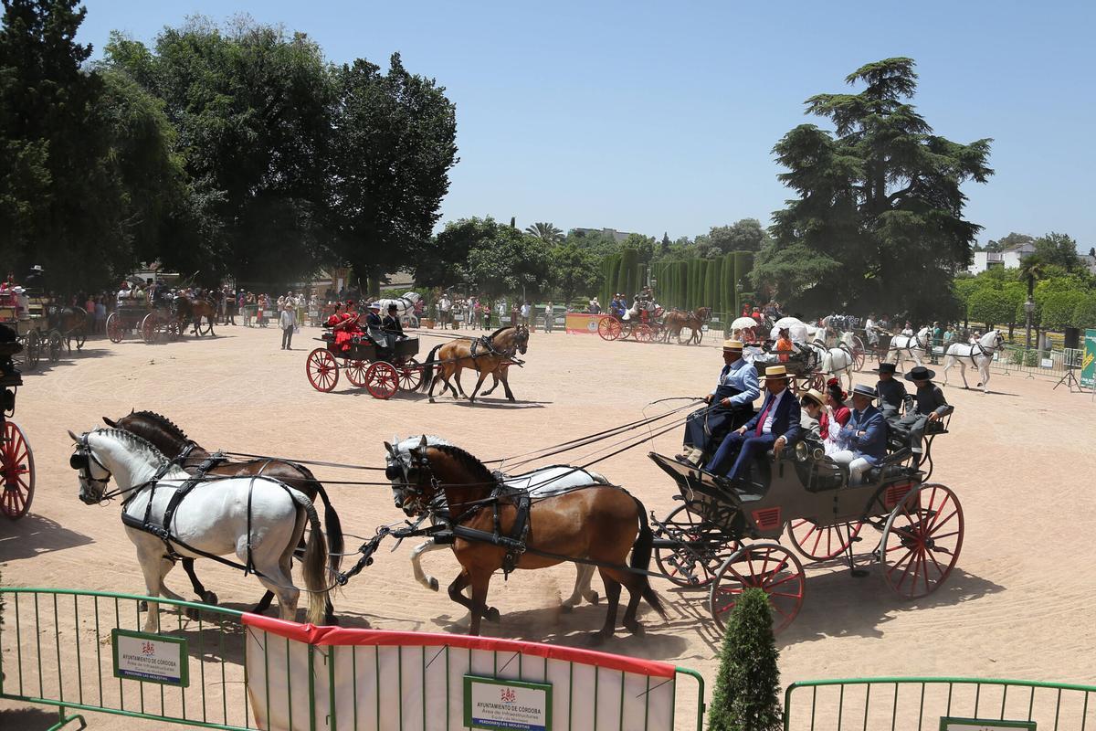 El arte ecuestre toma los Jardines del Alcázar de los Reyes Cristianos para dar el pistoletazo de salida a la Feria de Nuestra Señora de la Salud
